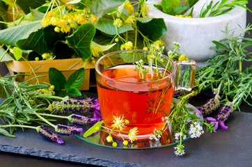 Alternative Medicine. Herbal Therapy. Infusion of healing plants.