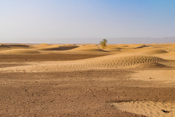 Fototapeta na wymiar Deserto del Sahara