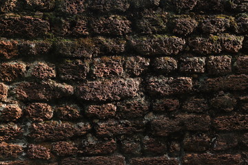 Texture of laterite wall