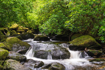 Long exposure of a river's white foamy waters flowing through large black rocks covered in moss and lush vegetation. Torc Waterfall water flowing into the Owengarriff river in Killarney, Ireland.