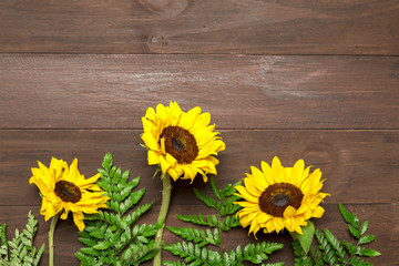 Obraz premium Sunflowers and fern leaves on wooden background