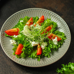salad with tomato, lettuce, arugula and other green leaves. food background. top
