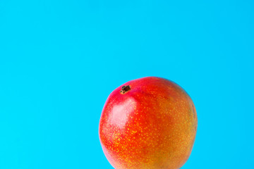 Ripe colorful juicy red and yellow mango on light blue background. Creative food poster. Bright sunlight. Tropical exotic fruits vacation healthy vegan lifestyle. Poster with copy space