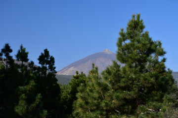 Fototapeta na wymiar El Teide y Las Cañadas