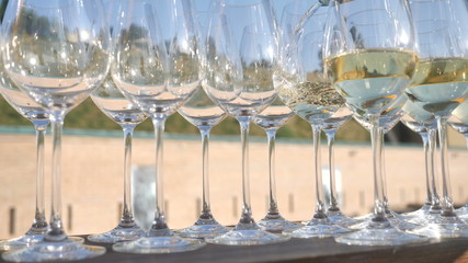 A festive event of an event or wedding, the waiter pours into the bakery white Italian wine from the traditional grape variety collected and made by the farmer for craft winemaking