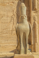 Looking in the eye of the hawk Horus at the temple in Edfu