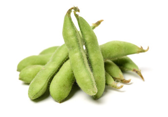 Fresh harvested soybean (edamame) plant isolated on white background