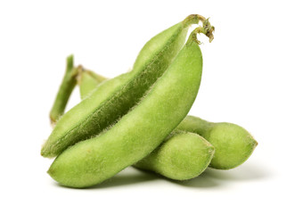 Fresh harvested soybean (edamame) plant isolated on white background