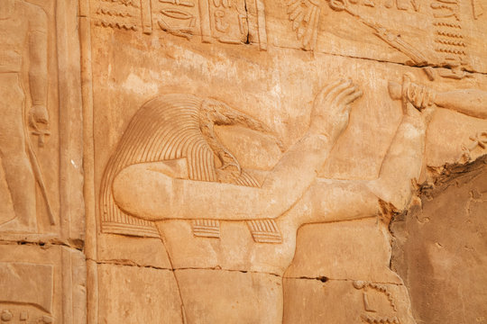 Close up depiction ofToth in the Temple of Kom Ombo