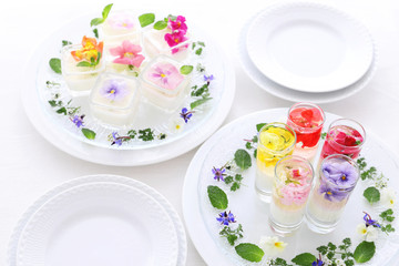 エディブルフラワーのお花ゼリー