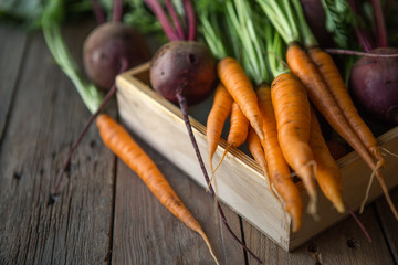 A bunch of carrots and beetroots . Fresh carrots, beetroot  heap with green stems. Raw Carrots on rustic  wooden background. Close up. top view 