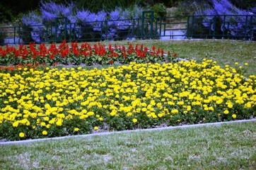 Obraz premium Molenbeek-Saint-Jean : Parterre de fleurs au square Machtens (Bruxelles-Belgique)