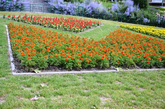 11,870개의 최고 Parterre 이미지, 스톡 사진 및 벡터 | Adobe Stock