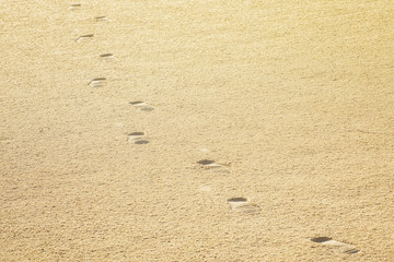 Fototapeta na wymiar Footprint tourist in the sandy desert.