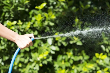 Woman with garden hose watering her plants from the garden