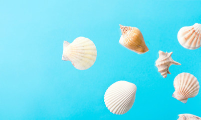 Creative nautical summer tropical concept. Beautiful sea shells of different shapes and colors on pastel gradient blue background. Sunlight. Vacation relaxation wellness spa topic