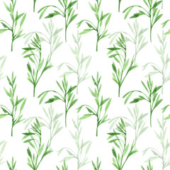 Watercolor seamless pattern with sprigs on white background. Hand drawn summer illustration. Perfect for textile, wrapping paper