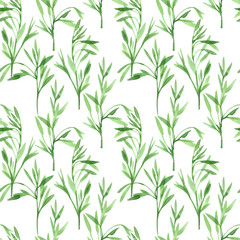 Watercolor seamless pattern with sprigs on white background. Hand drawn summer illustration. Perfect for textile, wrapping paper