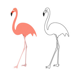 Isolated pink flamingo. Coloured and sketch version. Flat style vector illustration.