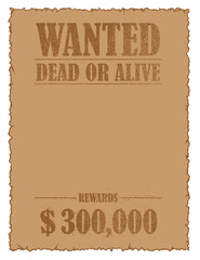 Grunged wanted paper template vector illustration (no face photo frame) ..  American Old West.