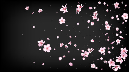 Nice Sakura Blossom Isolated Vector. Pastel Flying 3d Petals Wedding Paper. Japanese Funky Flowers Illustration. Valentine, Mother's Day Magic Nice Sakura Blossom Isolated on Black