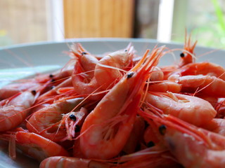 Steamed shrimps on a plate