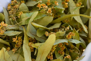 Fresh flowers and leaves of linden.  herbal medicine, Cup of healthy linden tea with honey. Dried...