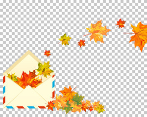 Autumn maple
