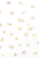 Daisy chamomile flower buds on white background. Flat lay, top view minimal summer floral pattern composition.
