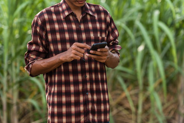 asian male farmer using laptop smartphone To collect data to study and develop his farm to improved...