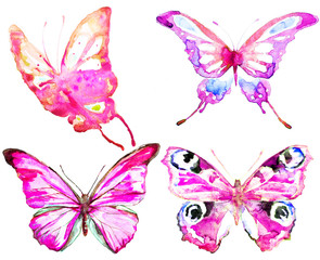 beautiful pink  blue butterfly,watercolor,isolated on a white background