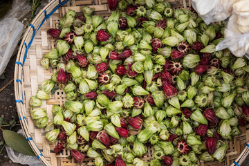 red and green rosella calyxes