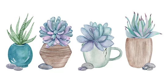Satz handgezeichnete Aquarellillustrationen mit Sukkulenten in Töpfen. Aquarellgrafik für Stoff, Postkarte, Hochzeits- oder Grußkarte, Buch, Poster, T-Shirt, Banner, Embleme, Logo. Illustration. © arty_lee
