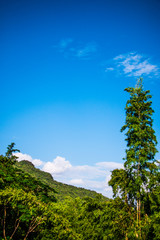 Obraz premium Mountain and river views