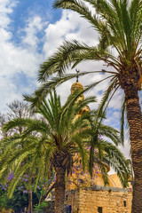 A street in Izrael Jerusalem with palm trees on the background of a mosque