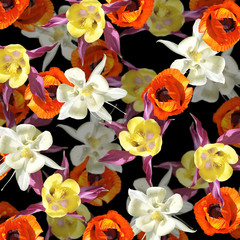 Fototapeta premium Beautiful floral background of aquilegia and poppy. Isolated
