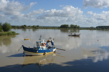 Fototapeta na wymiar La Loire, French rive, near Nantes