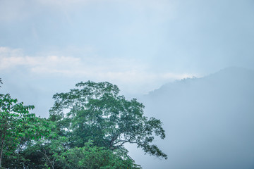 Obraz na płótnie Canvas Mountain view and morning fog