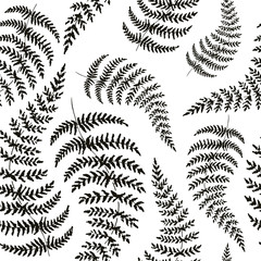 Fern backdrop. Hand drawn seamless pattern with sketch style fern branch. Black on white, vector background.