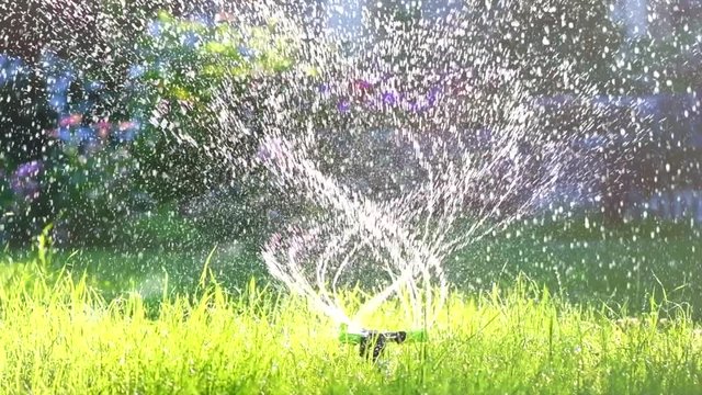 Grass watering. Smart garden activated with full automatic sprinkler irrigation system. Watering lawn. Gardening. Slow motion 4K UHD video footage. 3840X2160