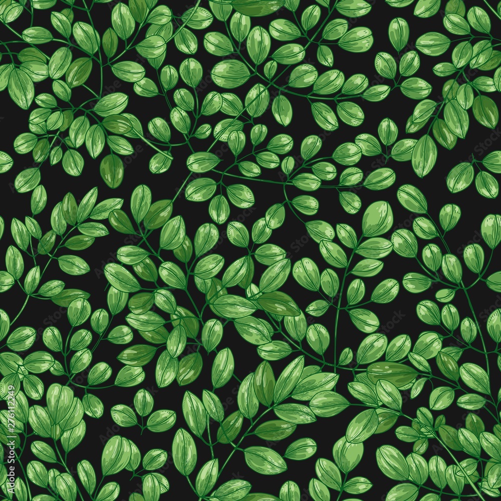 Poster botanical seamless pattern with miracle tree or moringa oleifera leaves. realistic backdrop with gre