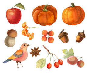 Watercolor autumn clipart (set)