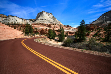 Road through Zion np