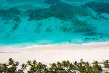 Aerial view from drone on tropical island with coconut palm trees and caribbean sea