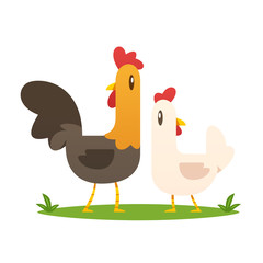 Cartoon rooster and hen chicken vector isolated illustration