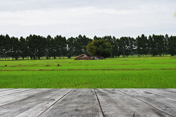 road in the field