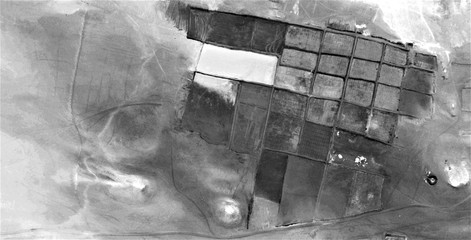 The power of the wind, allegory, abstract naturalism, Black and white photo, farms of human crops...