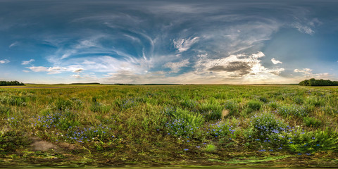 full seamless spherical hdri panorama 360 degrees angle view among cornflowers fields in summer...