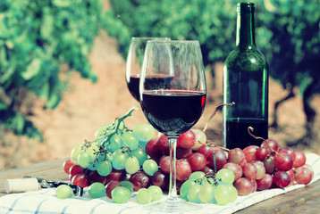 red wine and ripe grapes on table in vineyard