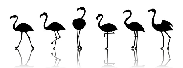 Black vector flamingo silhouettes isolated on white background. Flamingo bird animal exotic illustration - obrazy, fototapety, plakaty